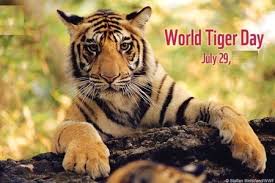 WORLD TIGER DAY